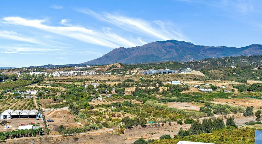 Photo of The Bamboo Breeze