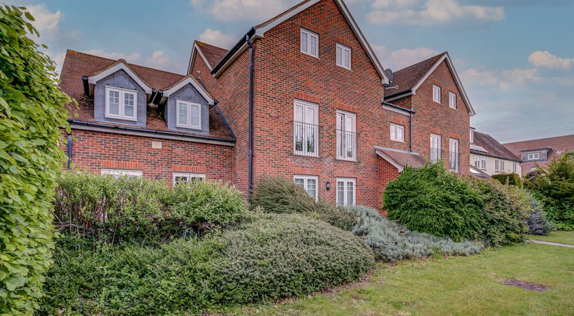 Photo of The Strawberry Flower