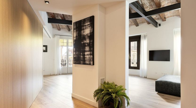 Photo of Branches of Time