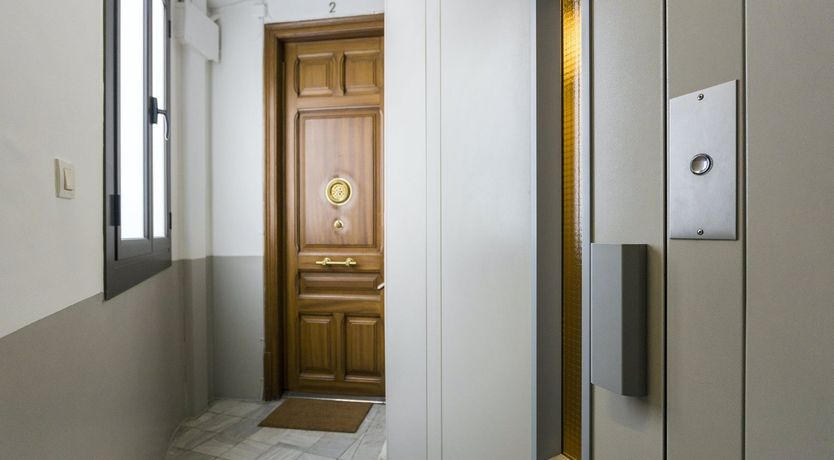 Photo of Branches of Time