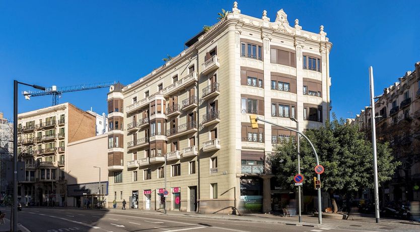 Photo of Branches of Time