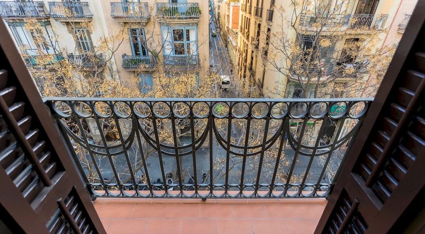 Photo of Branches of Time