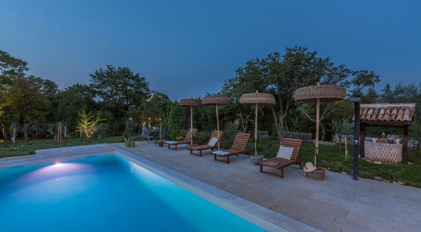 Photo of Palm Trees & Sand