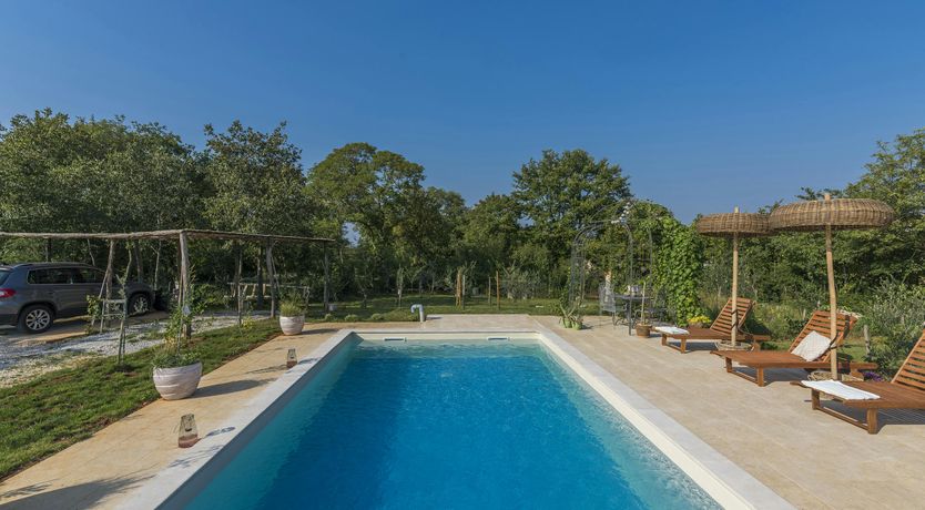 Photo of Palm Trees & Sand