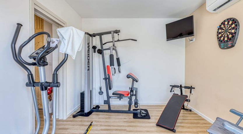 Photo of The Bodhi Tree