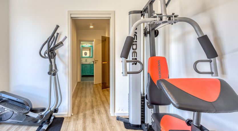 Photo of The Bodhi Tree