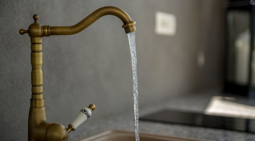 Photo of The Bodhi Tree