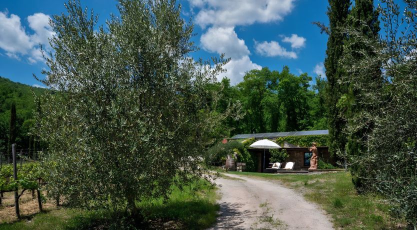 Photo of Tuscan Idyll