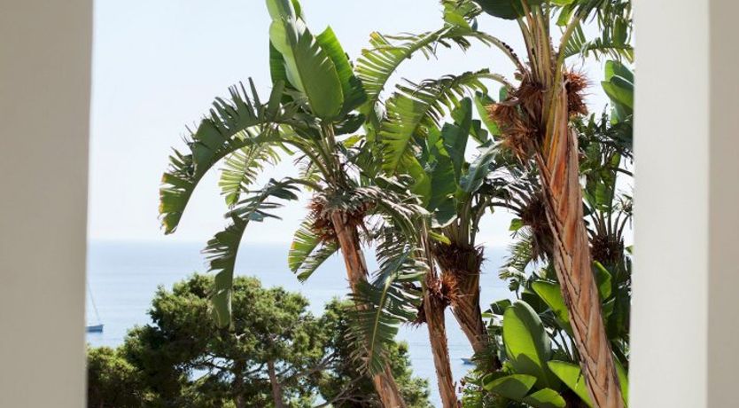 Photo of How About That