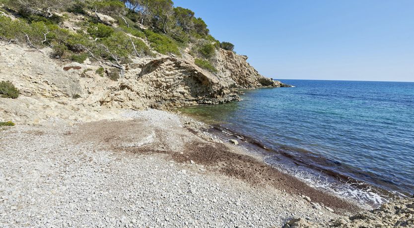 Photo of Pearly White