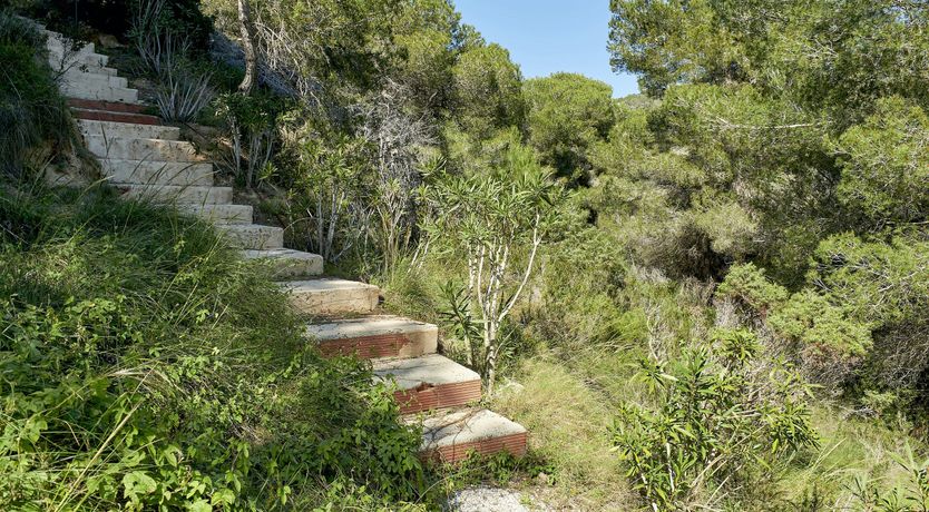 Photo of Pearly White