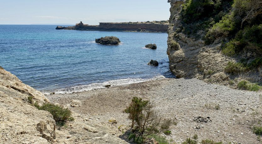 Photo of Pearly White