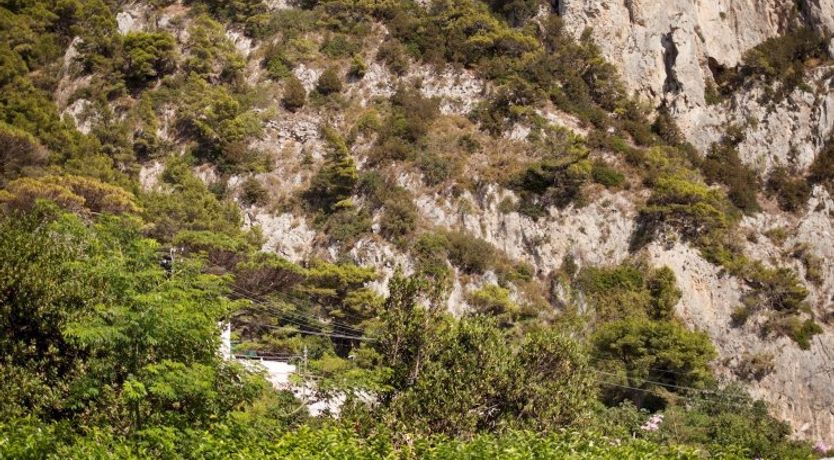 Photo of How About That