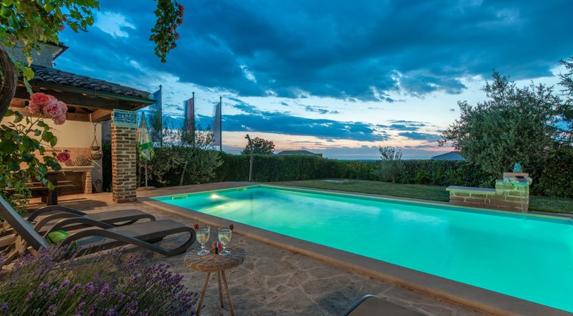 Photo of Sunshine Shimmer