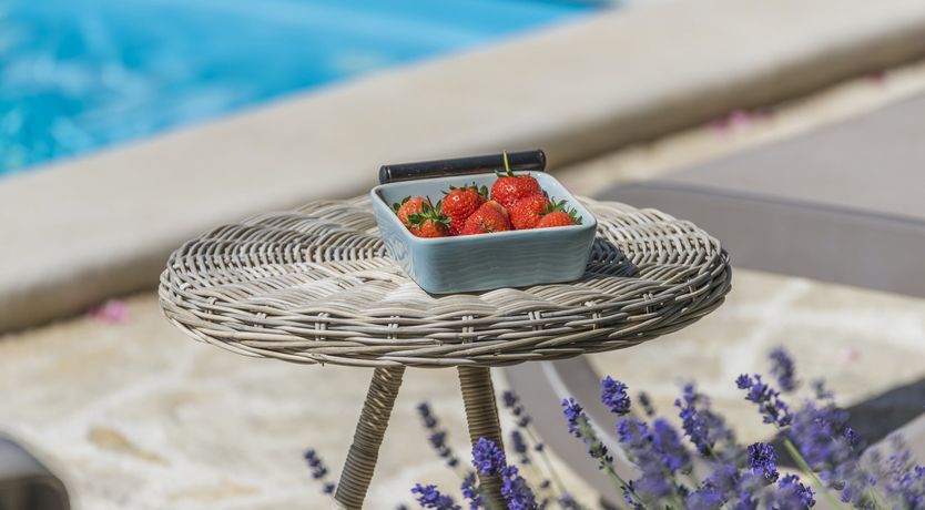 Photo of Sunshine Shimmer