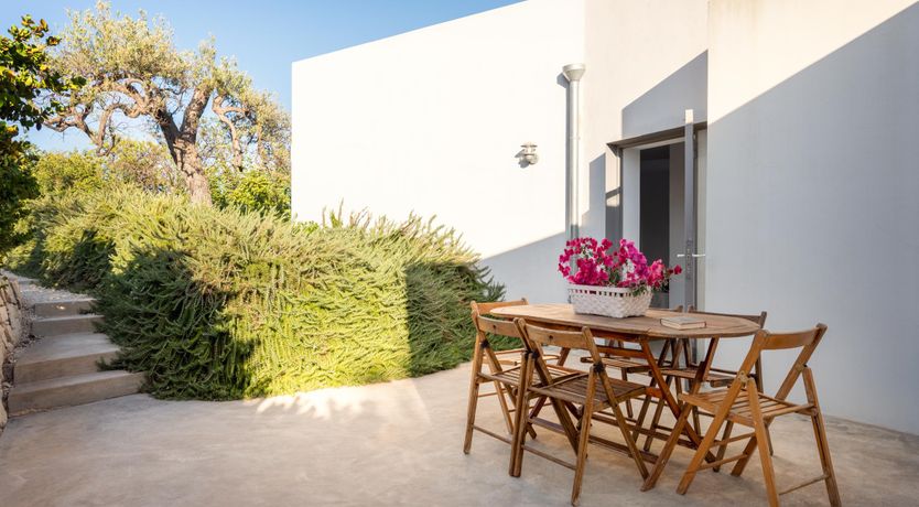 Photo of The Olive Gardens