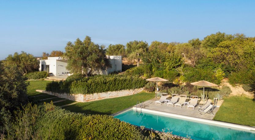 Photo of The Olive Gardens