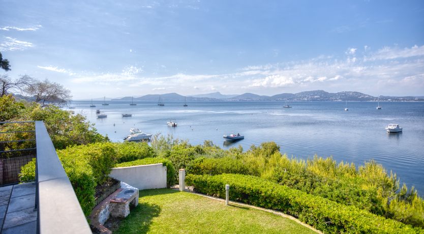 Photo of Golden Promise