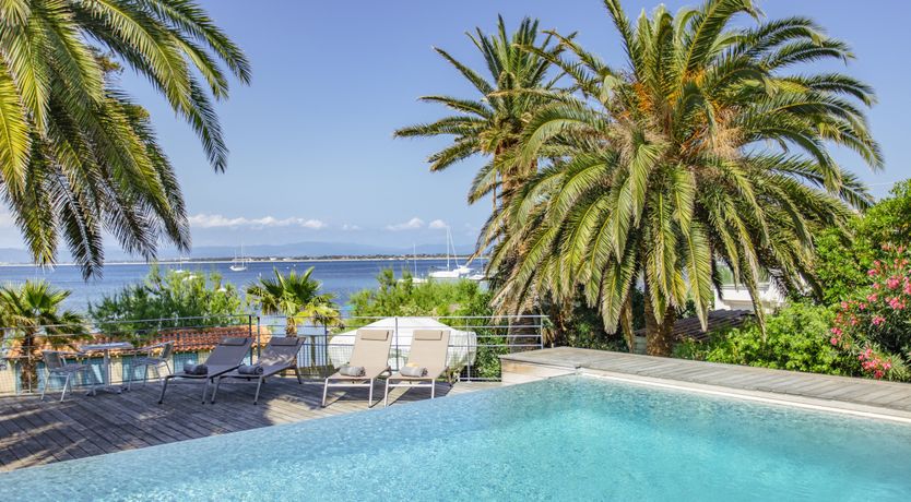 Photo of Golden Promise