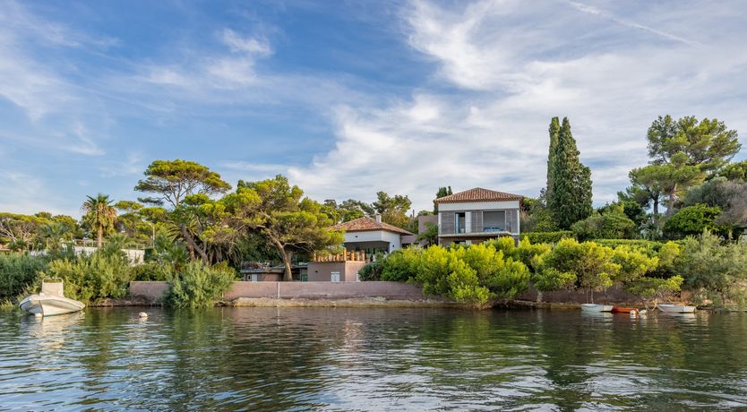 Photo of Golden Promise