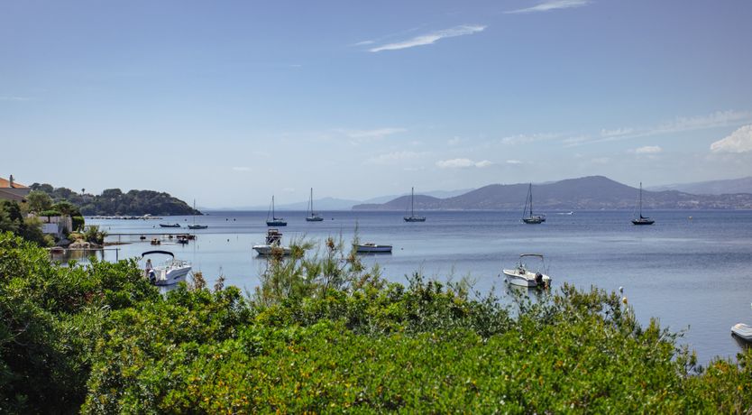 Photo of Golden Promise