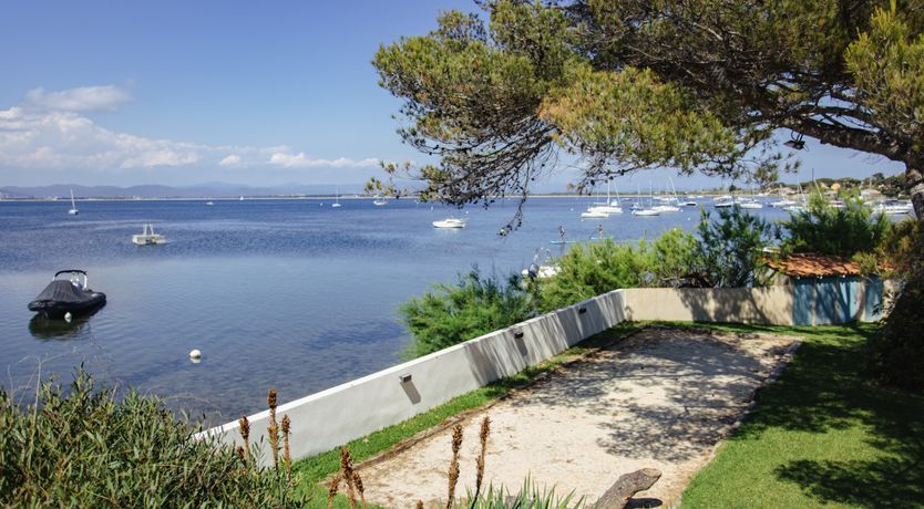 Photo of Golden Promise