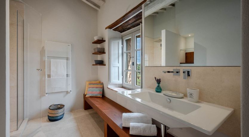 Photo of The White Vine