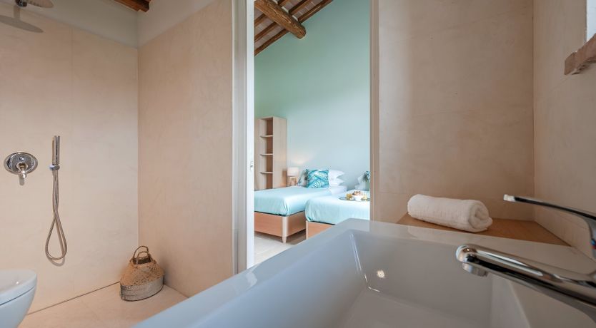 Photo of The White Vine