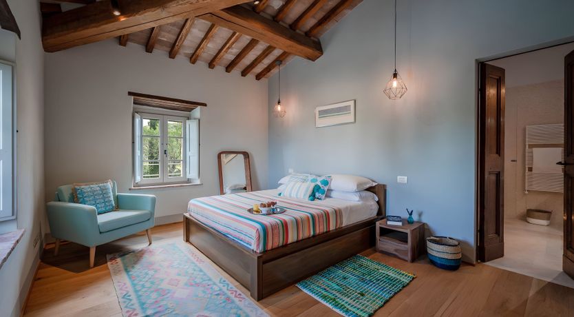 Photo of The White Vine