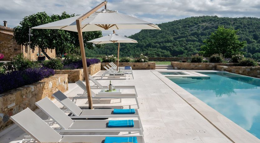 Photo of The White Vine