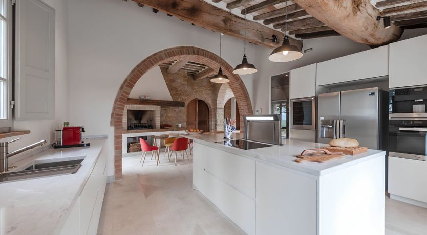 Photo of The White Vine