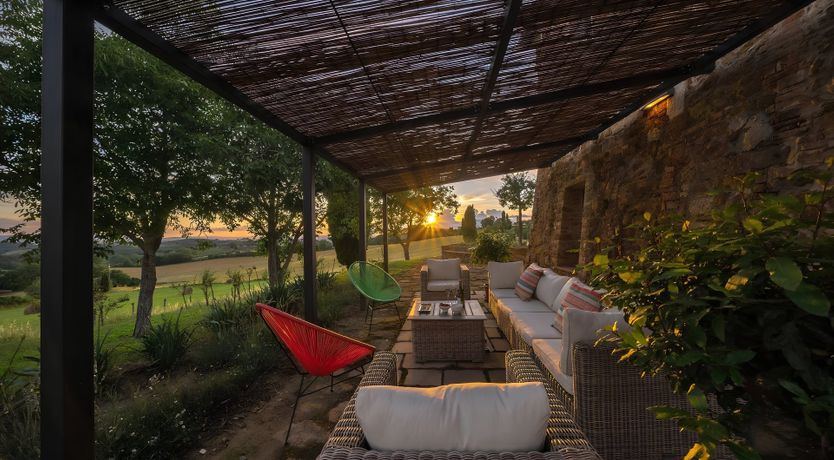 Photo of The White Vine