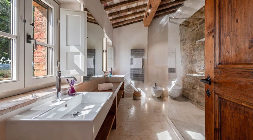 Photo of The White Vine