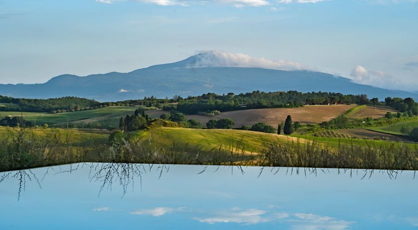 Photo of The White Vine