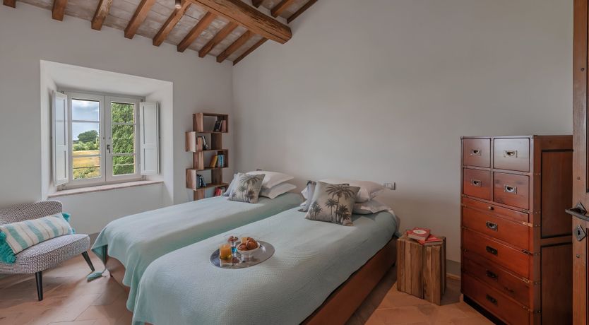 Photo of The White Vine