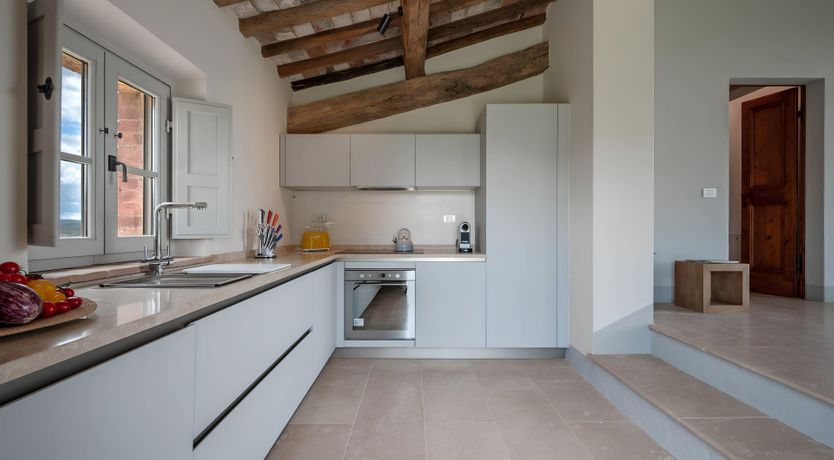 Photo of The White Vine