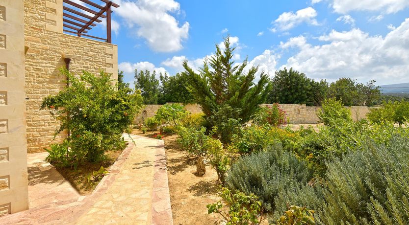 Photo of Amid Olive Groves