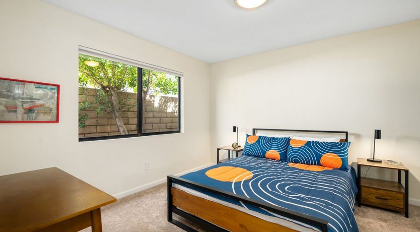 Photo of A Palm Tree Affair