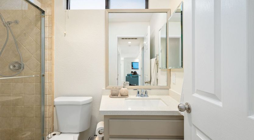 Photo of A Palm Tree Affair