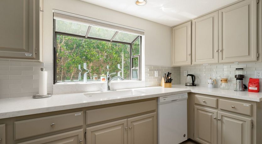 Photo of A Palm Tree Affair