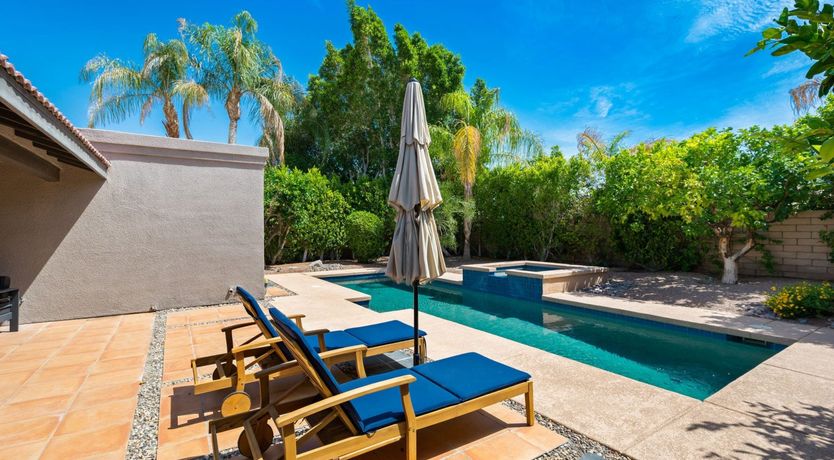 Photo of A Palm Tree Affair