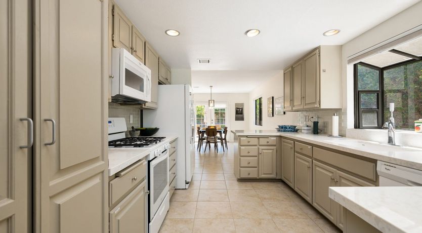 Photo of A Palm Tree Affair