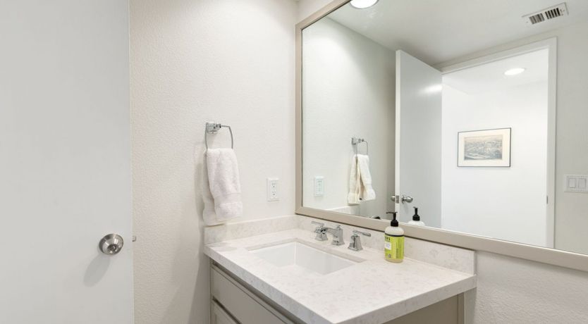 Photo of A Palm Tree Affair