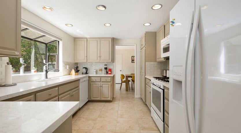 Photo of A Palm Tree Affair