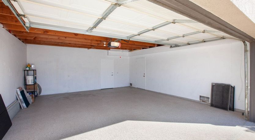 Photo of A Palm Tree Affair