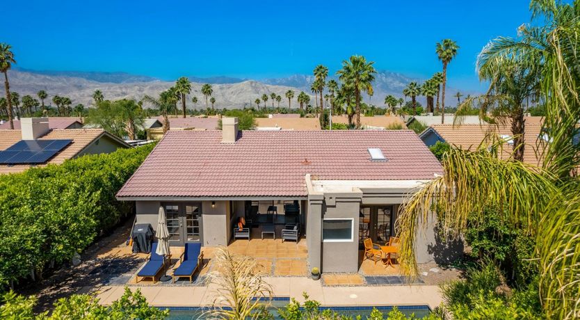 Photo of A Palm Tree Affair