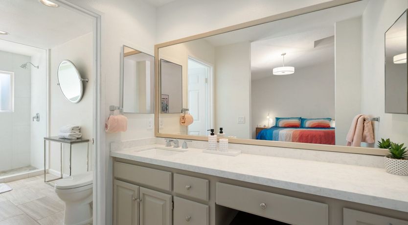 Photo of A Palm Tree Affair