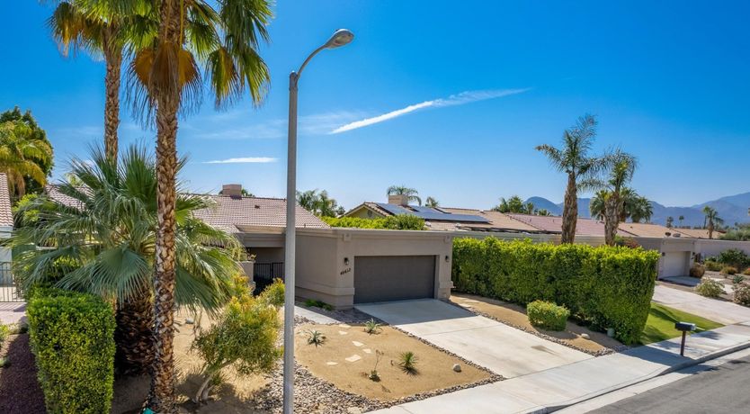 Photo of A Palm Tree Affair