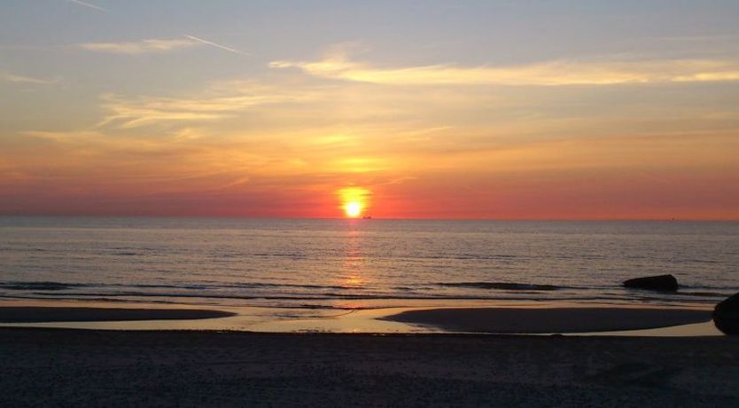 Photo of "Jerk" - 250m from the sea