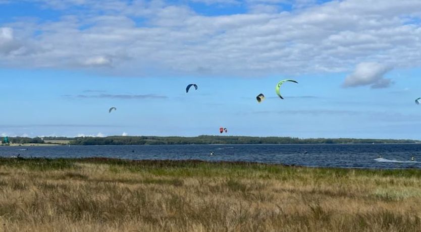 Photo of "Ilene" - 1km from the sea